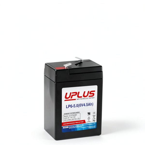 Leoch Battery 6V 4.5Ah Powersports Battery-1