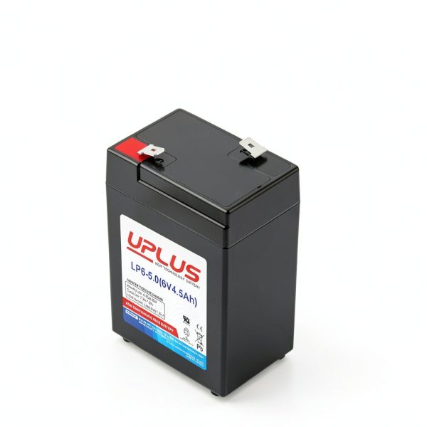 Leoch Battery 6V 4.5Ah Powersports Battery-4