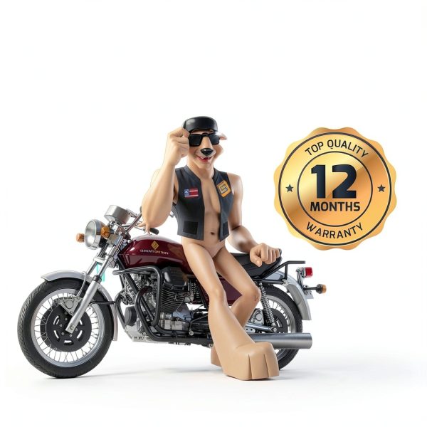 Pirate Battery 20CH-BS Chrome Battery Powersports Battery-3