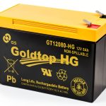 GS Battery Verizon Fios 12V 8Ah Battery-0