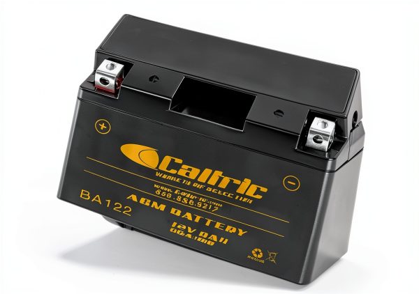 AGM Battery Caltric 12V Powersports Maintenance-6